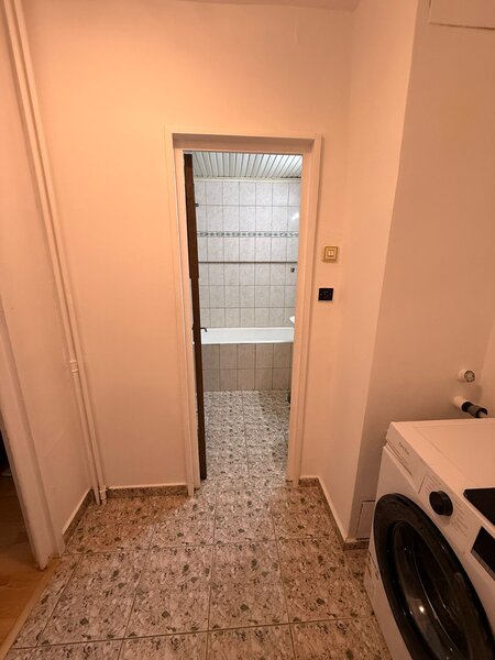 Lacul Tei - Teiul Doamnei - Parcul Circului si Lidl Lacul Tei la 5 min