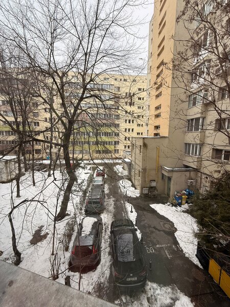 Lacul Tei - Teiul Doamnei - Parcul Circului si Lidl Lacul Tei la 5 min