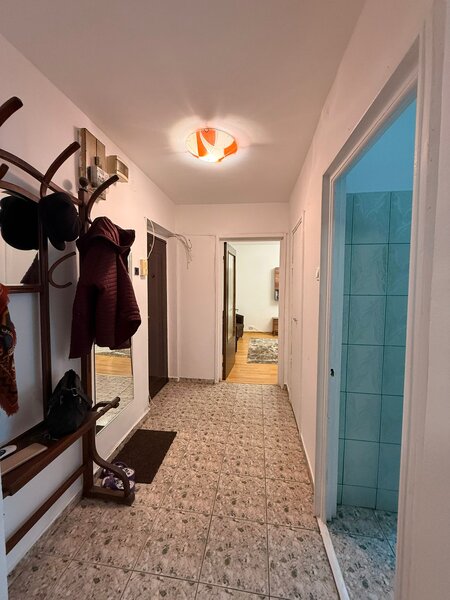 Lacul Tei - Teiul Doamnei - Parcul Circului si Lidl Lacul Tei la 5 min